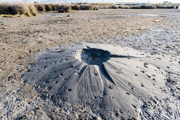 Soil_liquefaction Liquefaction